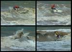 (23) gorda bash surf montage.jpg    (1000x720)    333 KB                              click to see enlarged picture